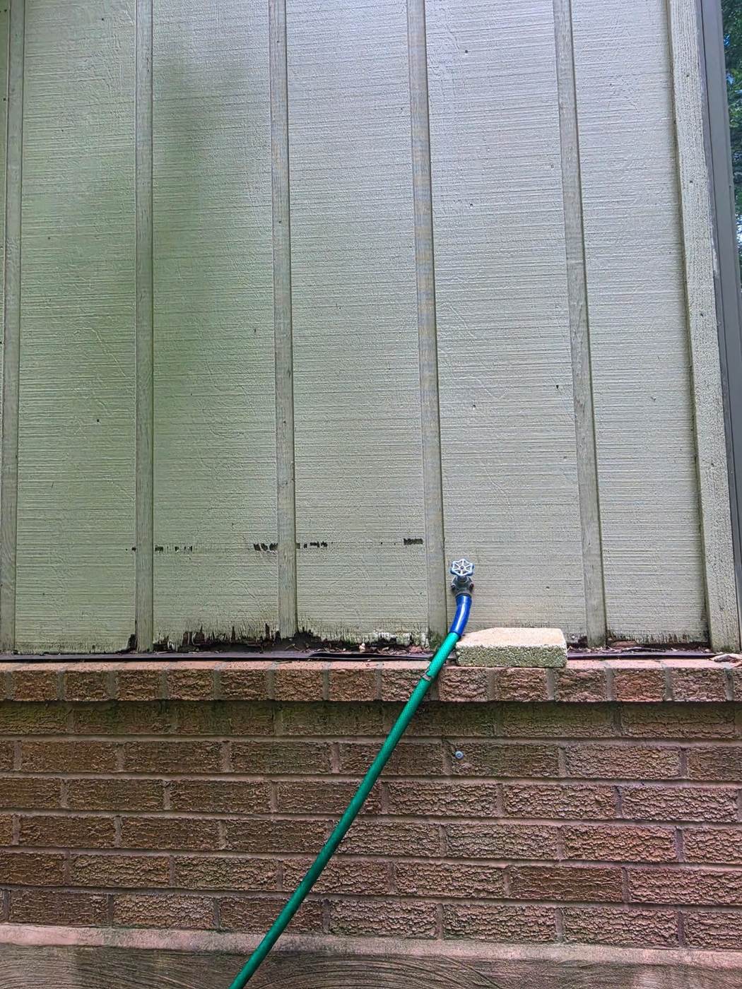 Rotted wood siding at the bottom edge where it meets a brick foundation — the most common spot for wood siding to fail.